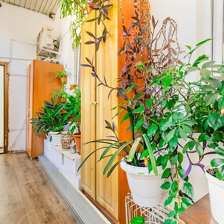 Appartement In The Centre *